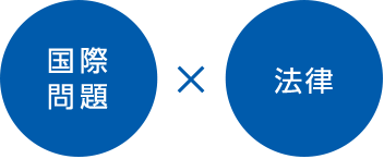 国際問題×法律