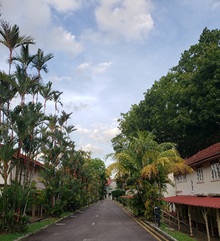 nus2019_2.jpg nus2019_2.jpg